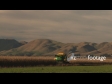 Maize Harvest Side 4 1550
